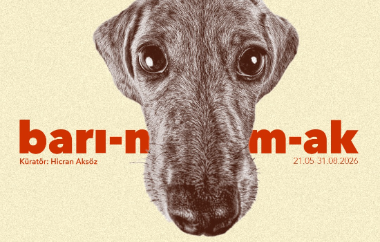 Kentte Kim Barınır? “Barı-n/m-ak” Karma Sergisi, Müze Gazhane’de Hayvan Haklarını Güncel Sanat Aracılığıyla Düşünmeye Davet Ediyor!